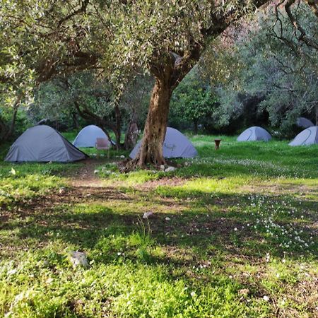 Hôtel Gjipe Eco Campground à Vuno Extérieur photo