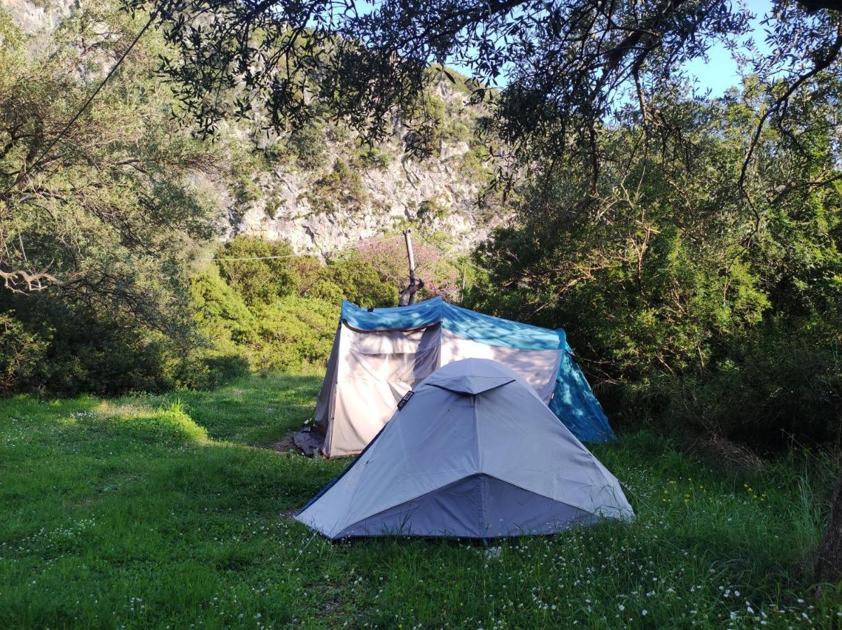 Hôtel Gjipe Eco Campground à Vuno Extérieur photo