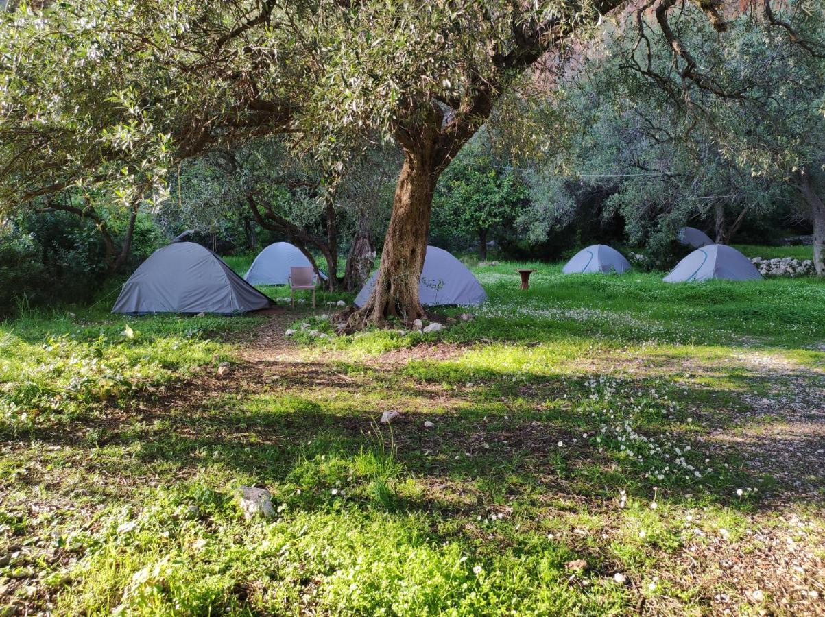 Hôtel Gjipe Eco Campground à Vuno Extérieur photo