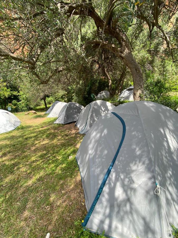 Hôtel Gjipe Eco Campground à Vuno Extérieur photo